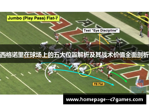 西格诺里在球场上的五大位置解析及其战术价值全面剖析