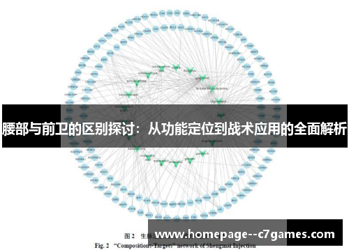 腰部与前卫的区别探讨：从功能定位到战术应用的全面解析